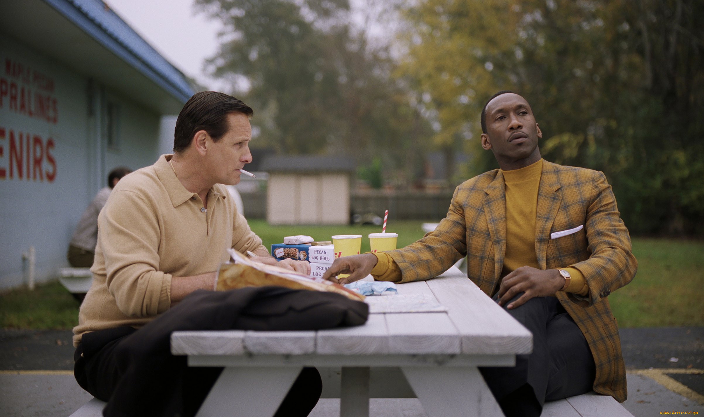 green book , 2019,  , -unknown , , , , , , , , , , 